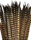 Loose Ringneck Pheasant Tail Feathers 8-22" - Per 1/2 lb