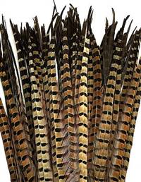 Loose Ringneck Pheasant Tail Feathers 8-22" - Per 1/2 lb