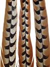 Reeves Pheasant Tail Feathers 45-50" - Each