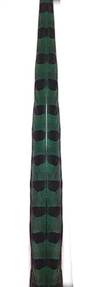 Ringneck Pheasant Tail Feathers 20-22" Dyed Green - Each