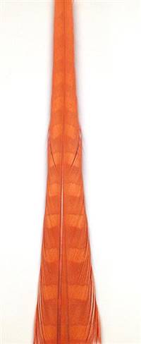 Ringneck Pheasant Tail Feathers 20-22" Dyed Orange - Each