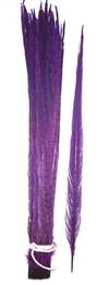 Ringneck Pheasant Tail Feathers 20-22" Dyed Purple - Each