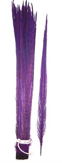 Ringneck Pheasant Tail Feathers 20-22" Dyed Purple - Each