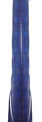 Ringneck Pheasant Tail Feathers 20-22" Dyed Royal Blue - Each