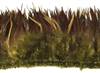 Strung Rooster Saddles 6-7" Dyed Olive Over Natural Red Per 1/2 lb