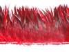 Strung Rooster Saddles 5-7" Dyed Red Over Furnace - Per 1/2 lb