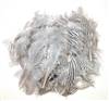 Silver Pheasant Plumage - Per 1/2 lb