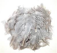 Silver Pheasant Plumage - Per 1/2 lb