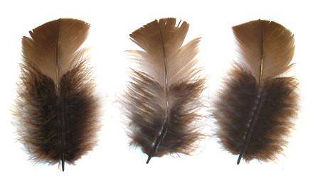 Loose Turkey T-Base 3-5" Dyed Brown - Per lb