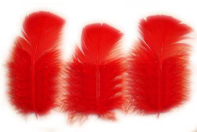 Loose Turkey T-Base 3-5" Dyed Red - Per lb
