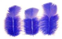 Loose Turkey T-Base 3-5" Dyed Royal Blue - Per lb