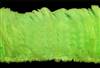 Strung Turkey Flats 6-8" Dyed Lime Green - Per 1/2 lb