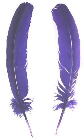 Turkey Rounds Dyed Purple - Per lb