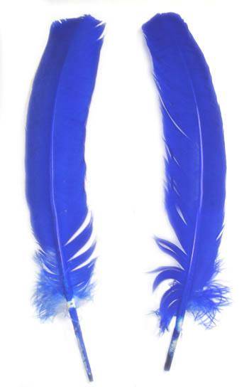 Turkey Rounds Dyed Royal Blue - Per lb