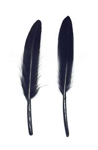 Duck Cochottes Dyed Black 3-4" - Per lb