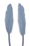 Duck Cochottes Dyed Light Blue 3-4" - Per lb