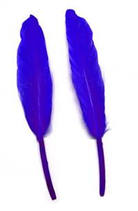 Duck Cochottes Dyed Purple 3-4" - Per lb