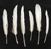 Duck Pointers 6-10" Bleached White - Per lb
