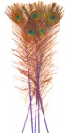 Dyed Blue Peacock Feathers 35"-40" (Pack of 100)