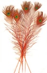 Dyed Orange Peacock Feathers 35"-40" (Pack of 100)
