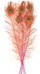 Dyed Pink Peacock Feathers 35"-40" (Pack of 100)