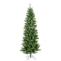 5.5' x 28" Salem Pencil Pine 200LED Mult