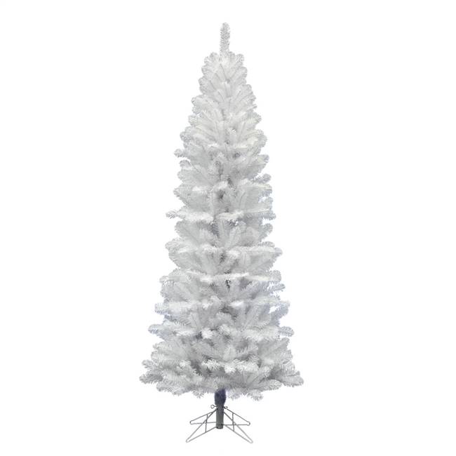8.5' x 40" White Salem Pencil Pine 877T
