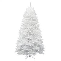 9.5' x 64" Sparkle White Spruce 2089Tips