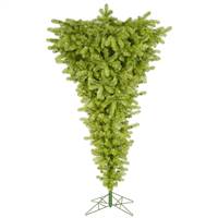 7.5' x 60" Lime UpsideDown Dura500CL