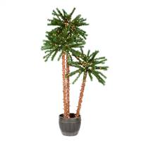 4-5-6' Potted Outdoor Palm Trees 500CL