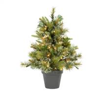 24" x 21" Cashmere Pine LED50WmWht