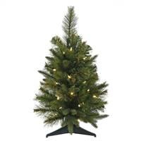 24" x 16" Cashmere Tree 30WmWht BO Timer