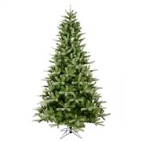 9' X 65" King Spruce 2242T
