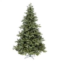 14' x 107" Frasier Fir 8128 Tips