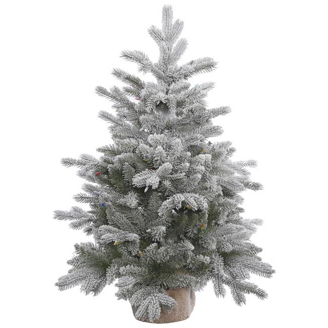 36" x 28" Frosted Sable Pine Tree 206T