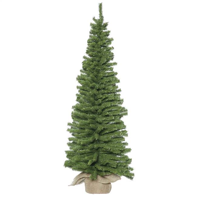 24" x 8"  Mini Pine Tree 181Tips