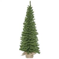 48" x 17" Mini Pine Tree 421Tips