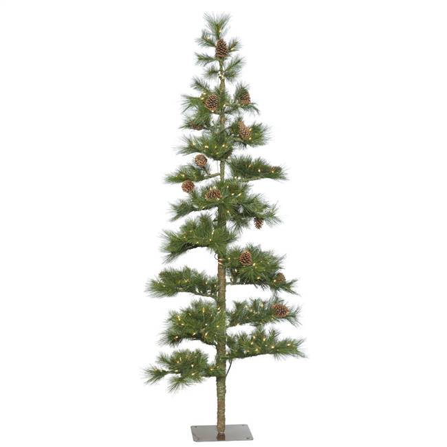 9' x 50'' Mountain Pine Dura-Lit 300CL