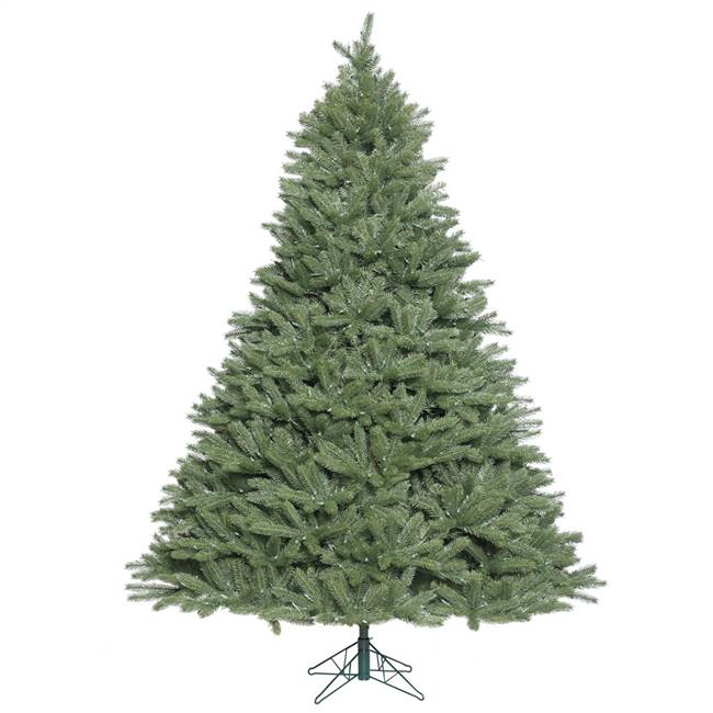 5.5' x 49" Colorado Spruce 1074Tips