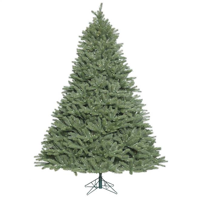 5.5' x 49" Colorado Spruce 550LED WmWht