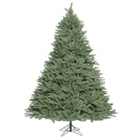 14' x 106'' Colorado Spruce 11310Tips