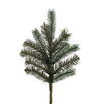 18" x 12T Colorado Spruce Spray 12/Box