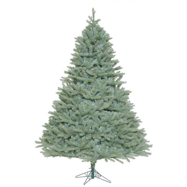 5.5' x 49" Colorado Blue Spruce 1074Tips