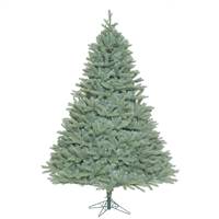 14' x 106'' Colorado Blue Spruce 11310T