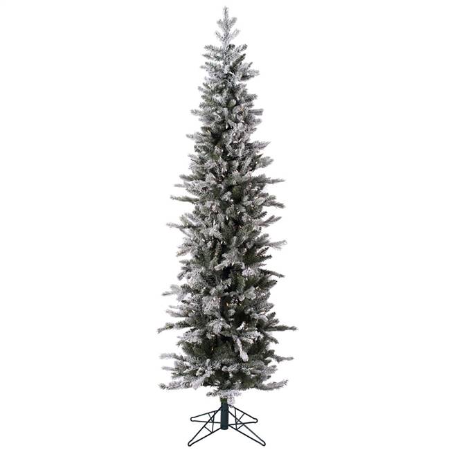 6' x 24" Frost Tannenbaum Dura-Lit 250CL