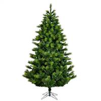 14' x 99" Zara Mixed Pine 6681T