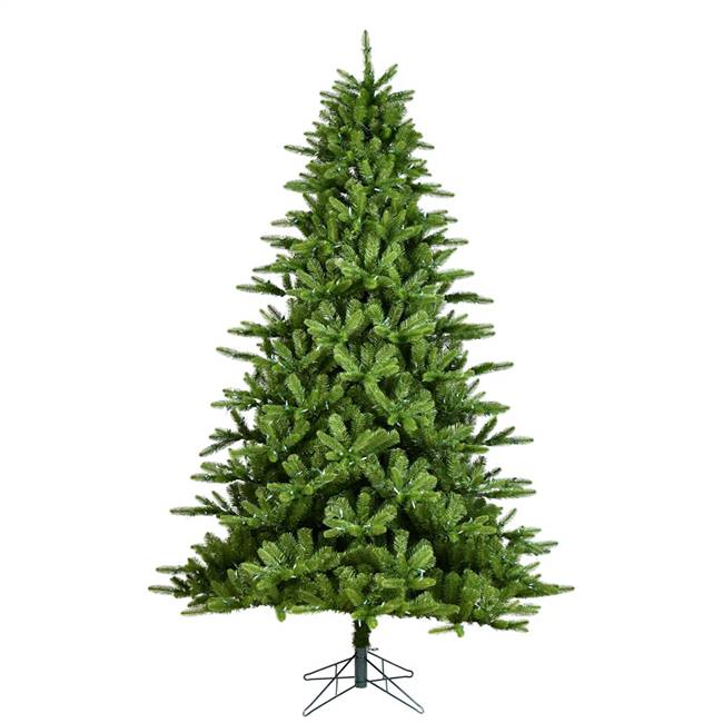 9' x 67" Langhorne Spruce 3023T