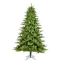 14' x 97" Langhorne Spruce 2900WW