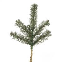 14" Canadian Pine Spray 6 Tips