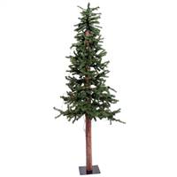 2' x 14" Alpine Tree w/Cones/Vine 105T